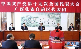 李克强参加党的十九大广西壮族自治区代表团讨论